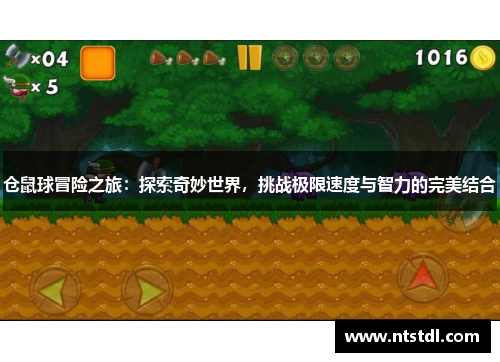 仓鼠球冒险之旅:探索奇妙世界,挑战极限速度与智力的完美结合 仓鼠球冒险之旅:探索奇妙世界,挑战极限速度与智力的完美结合