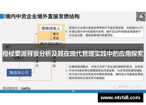 橙杖委派背景分析及其在现代管理实践中的应用探索